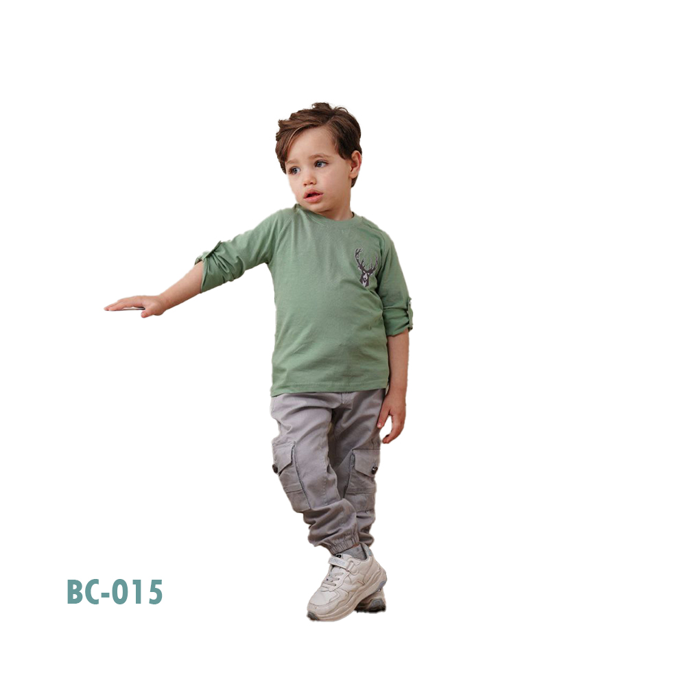 BC-0015