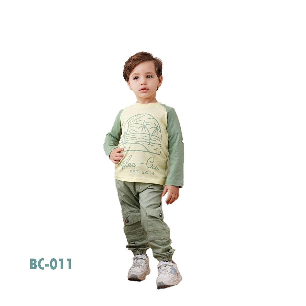 BC-011
