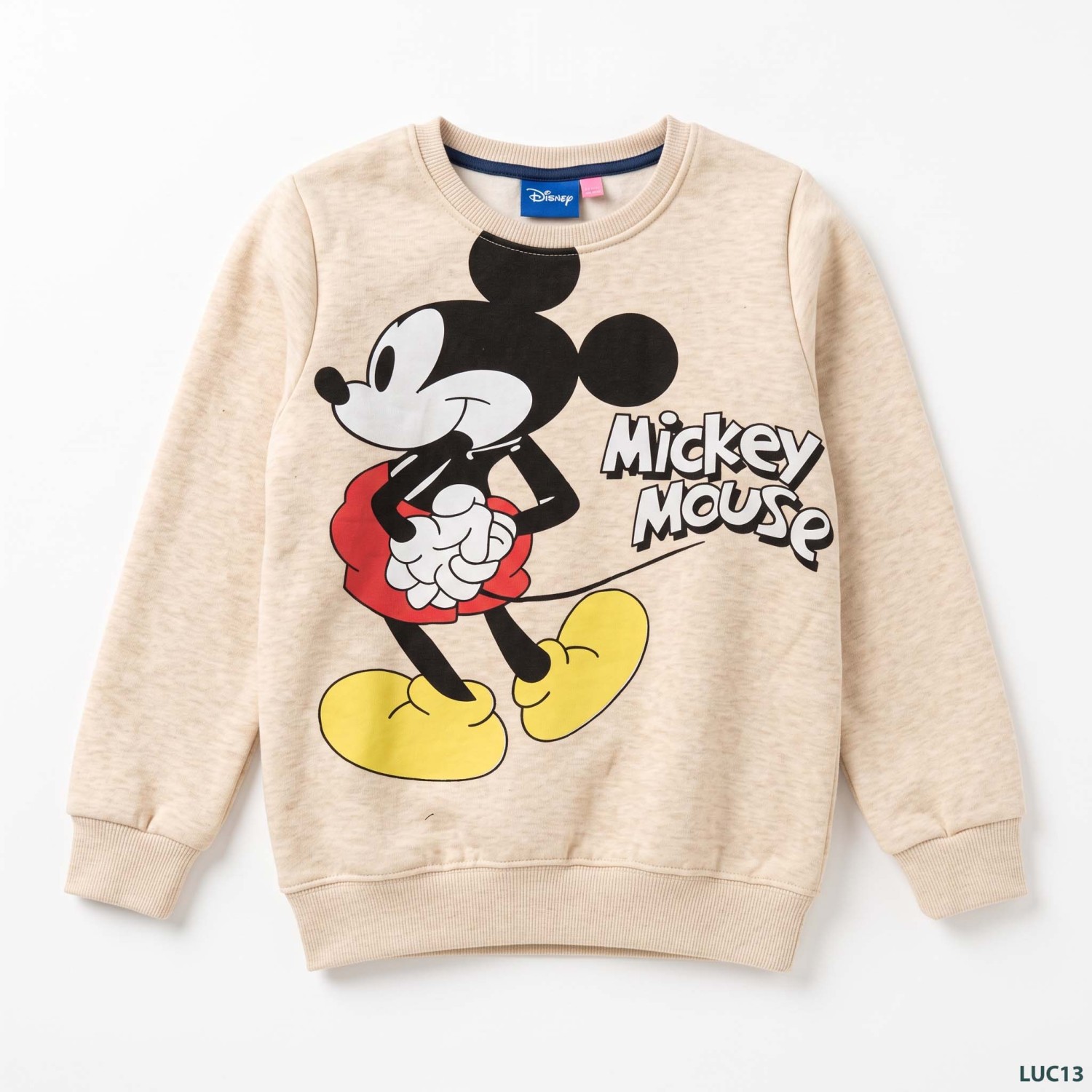 Beige_sweatshirt_laid_flat_2K_20260922155011