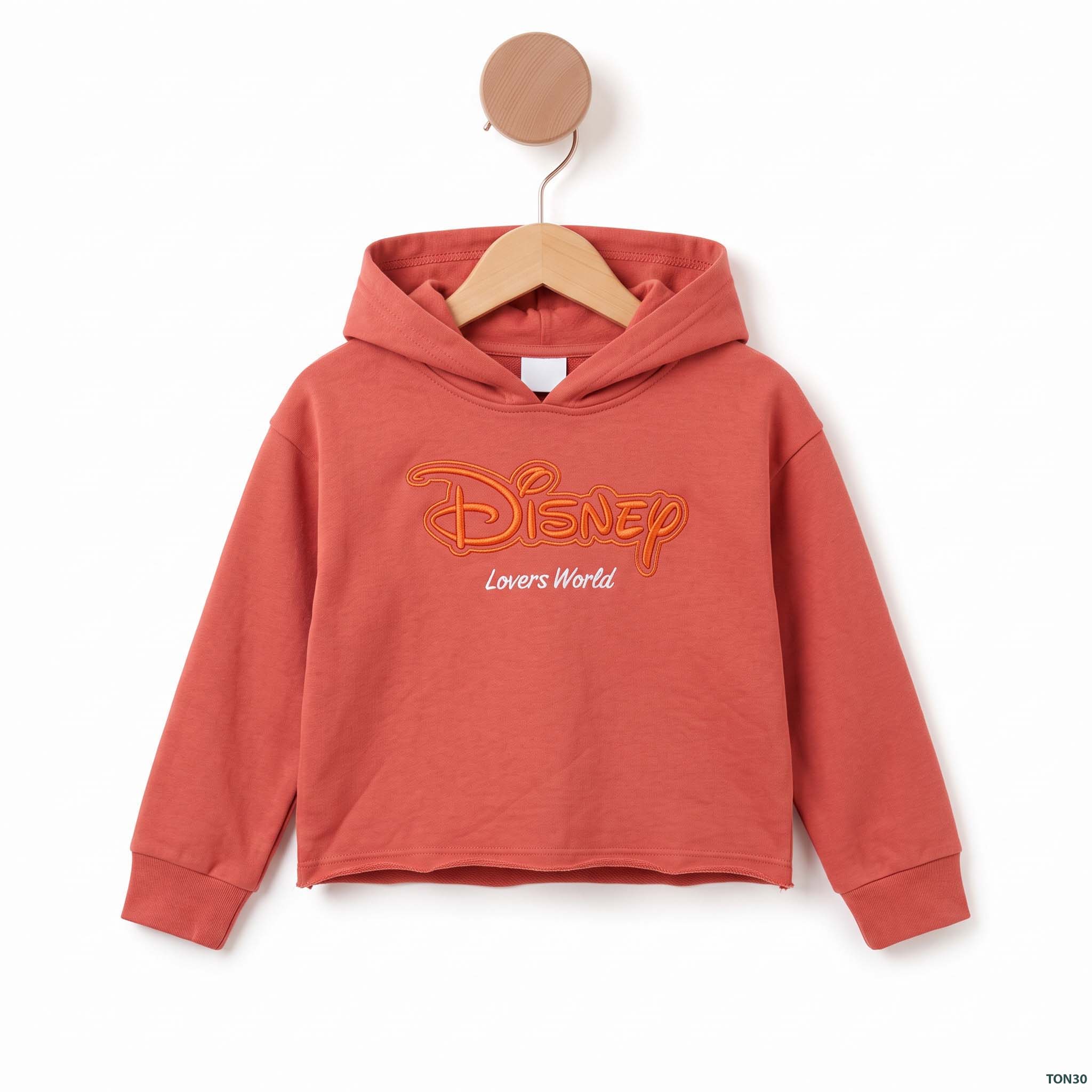Hooded_sweatshirt_hanging_on_hanger_2K_20261001205008